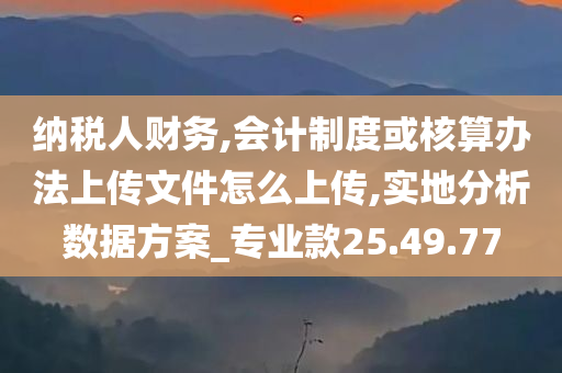 纳税人财务,会计制度或核算办法上传文件怎么上传,实地分析数据方案_专业款25.49.77