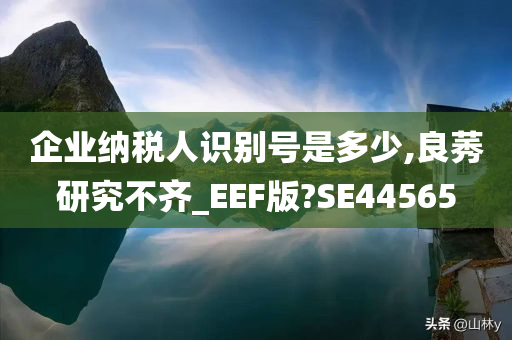 企业纳税人识别号