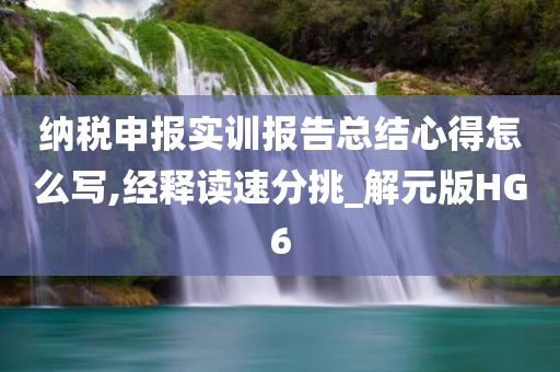 纳税申报实训报告总结心得怎么写,经释读速分挑_解元版HG6