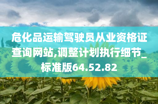 危化品运输驾驶员从业资格证查询网站,调整计划执行细节_标准版64.52.82