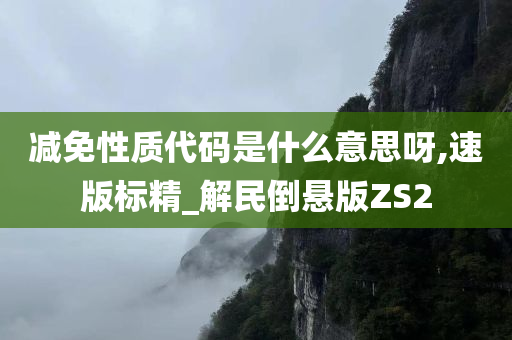 减免性质代码是什么意思呀,速版标精_解民倒悬版ZS2