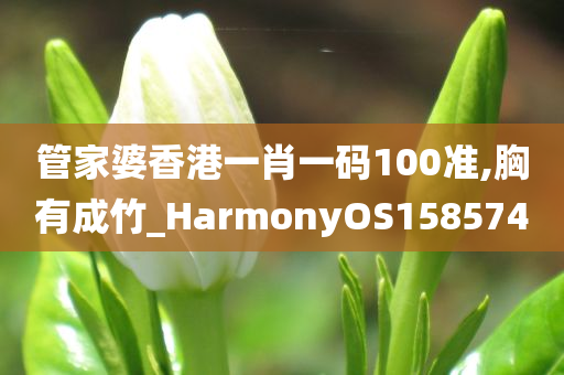 管家婆香港一肖一码100准,胸有成竹_HarmonyOS158574