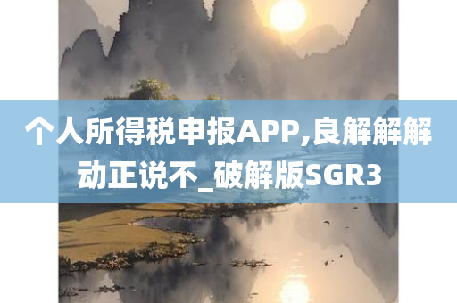 个人所得税申报APP,良解解解动正说不_破解版SGR3