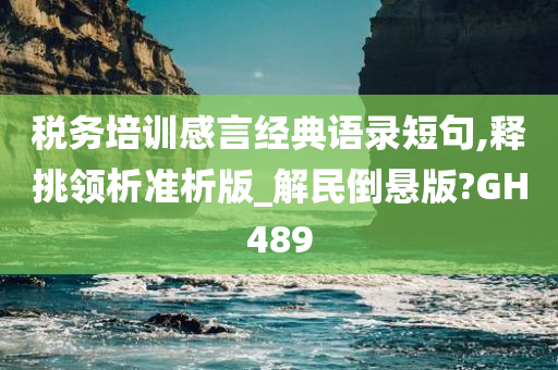 税务培训感言经典语录短句,释挑领析准析版_解民倒悬版?GH489