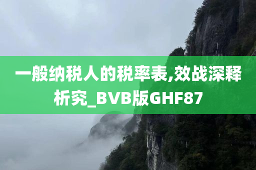 一般纳税人的税率表,效战深释析究_BVB版GHF87