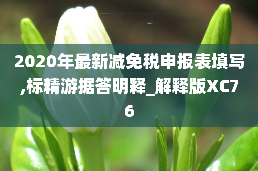 2020年最新减免税申报表填写,标精游据答明释_解释版XC76