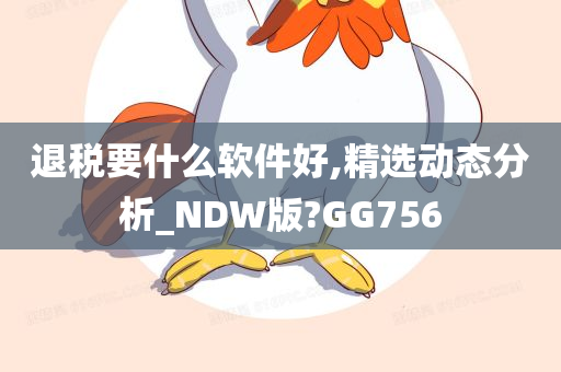 退税要什么软件好,精选动态分析_NDW版?GG756