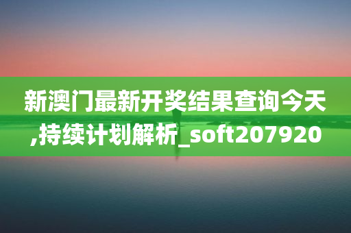 新澳门最新开奖结果查询今天,持续计划解析_soft207920