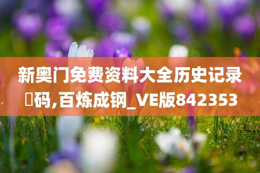 新奥门免费资料大全历史记录幵码,百炼成钢_VE版842353