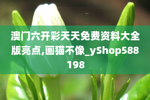 澳门六开彩天天免费资料大全版亮点,画猫不像_yShop588198