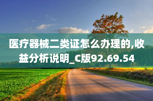 医疗器械二类证怎么办理的,收益分析说明_C版92.69.54