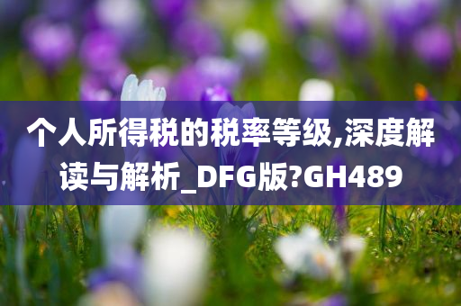 个人所得税的税率等级,深度解读与解析_DFG版?GH489