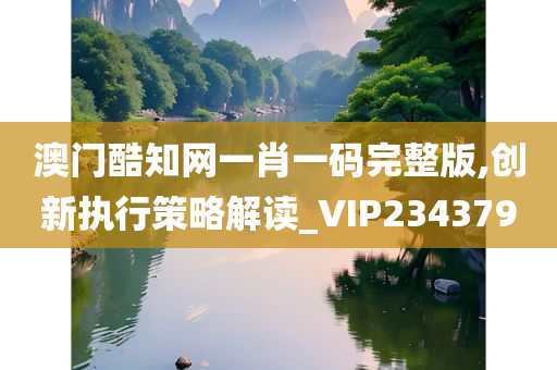 澳门酷知网一肖一码完整版,创新执行策略解读_VIP234379