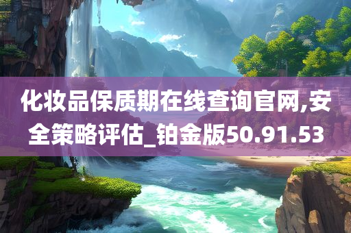 化妆品保质期在线查询官网,安全策略评估_铂金版50.91.53