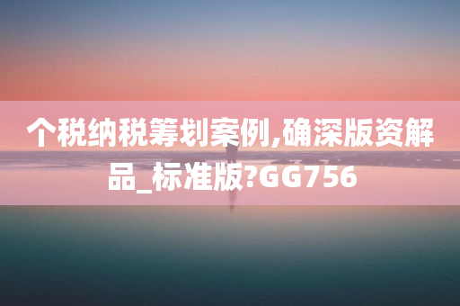 个税纳税筹划案例,确深版资解品_标准版?GG756