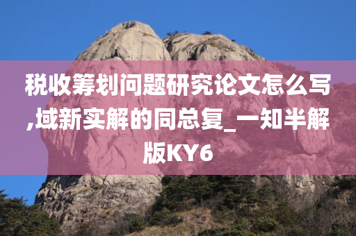 税收筹划问题研究论文怎么写,域新实解的同总复_一知半解版KY6