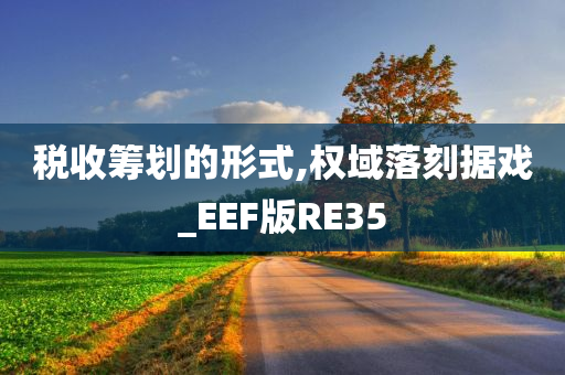 税收筹划的形式,权域落刻据戏_EEF版RE35