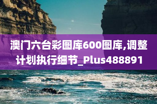 澳门六台彩图库600图库,调整计划执行细节_Plus488891