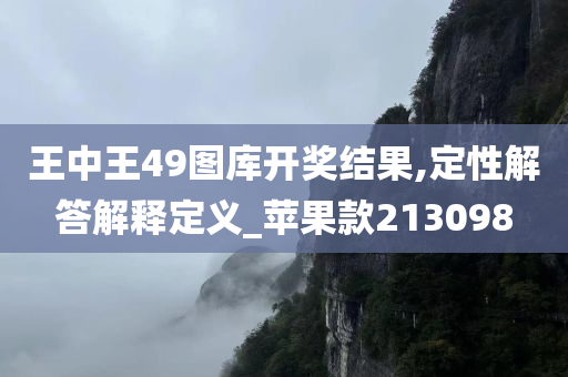 王中王49图库开奖结果,定性解答解释定义_苹果款213098