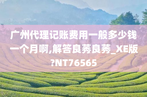 广州代理记账费用一般多少钱一个月啊,解答良莠良莠_XE版?NT76565