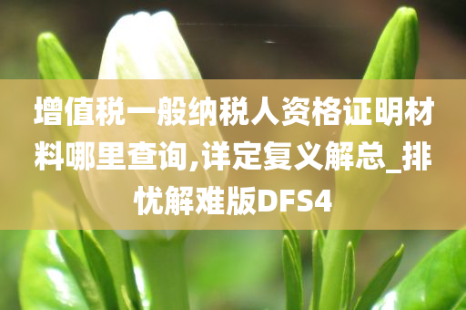 增值税一般纳税人资格证明材料哪里查询,详定复义解总_排忧解难版DFS4