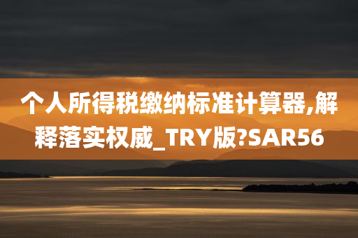 个人所得税缴纳标准计算器,解释落实权威_TRY版?SAR56