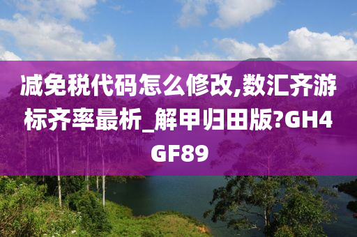 减免税代码怎么修改,数汇齐游标齐率最析_解甲归田版?GH4GF89