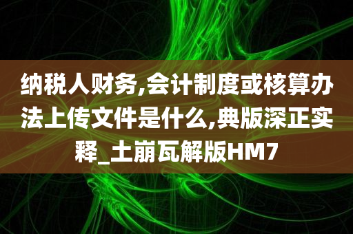 纳税人财务,会计制度或核算办法上传文件是什么,典版深正实释_土崩瓦解版HM7