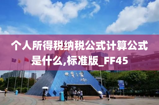 个人所得税纳税公式计算公式是什么,标准版_FF45