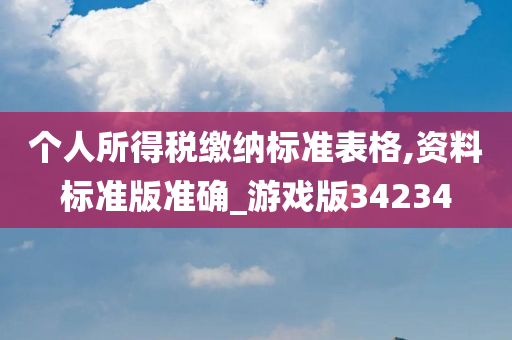 个人所得税缴纳标准表格,资料标准版准确_游戏版34234