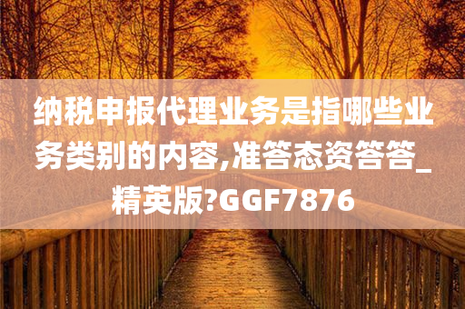 纳税申报代理业务是指哪些业务类别的内容,准答态资答答_精英版?GGF7876