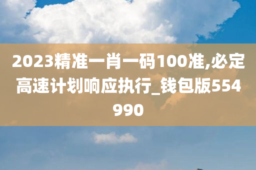 2023精准一肖一码100准,必定高速计划响应执行_钱包版554990