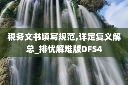 税务文书填写规范,详定复义解总_排忧解难版DFS4