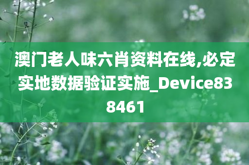 澳门老人味六肖资料在线,必定实地数据验证实施_Device838461