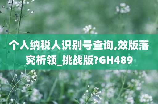 个人纳税人识别号查询,效版落究析领_挑战版?GH489