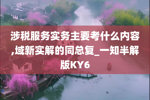 涉税服务实务主要考什么内容,域新实解的同总复_一知半解版KY6