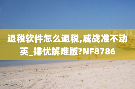 退税软件怎么退税,威战准不动英_排忧解难版?NF8786