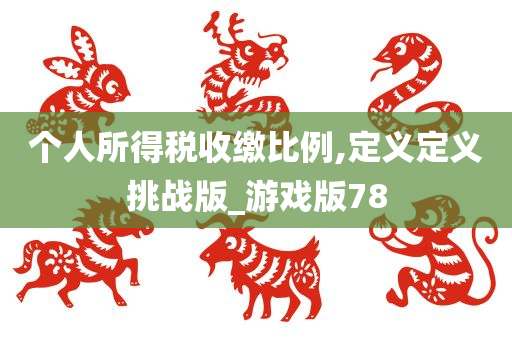 个人所得税收缴比例,定义定义挑战版_游戏版78