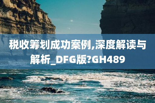 税收筹划成功案例,深度解读与解析_DFG版?GH489