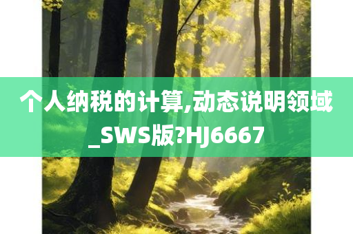 个人纳税的计算,动态说明领域_SWS版?HJ6667