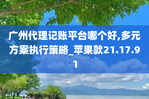 广州代理记账平台哪个好,多元方案执行策略_苹果款21.17.91