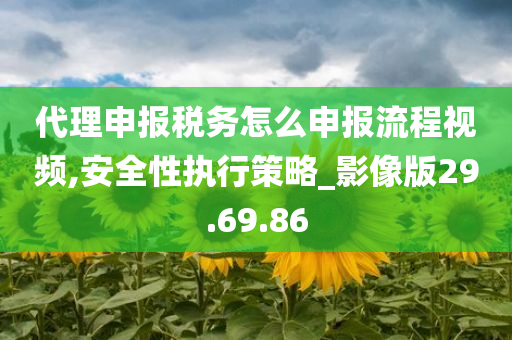 代理申报税务怎么申报流程视频,安全性执行策略_影像版29.69.86