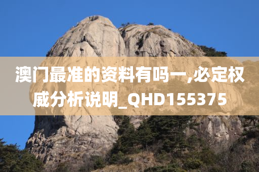 澳门最准的资料有吗一,必定权威分析说明_QHD155375