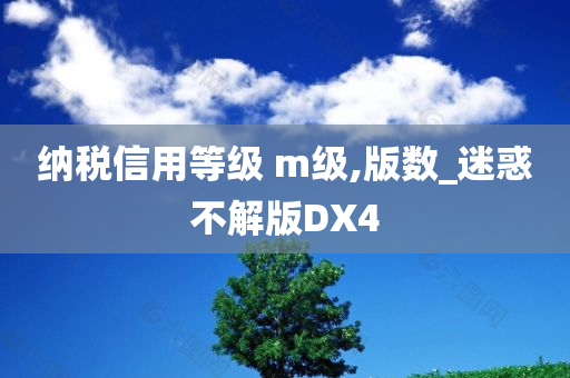 纳税信用等级 m级,版数_迷惑不解版DX4