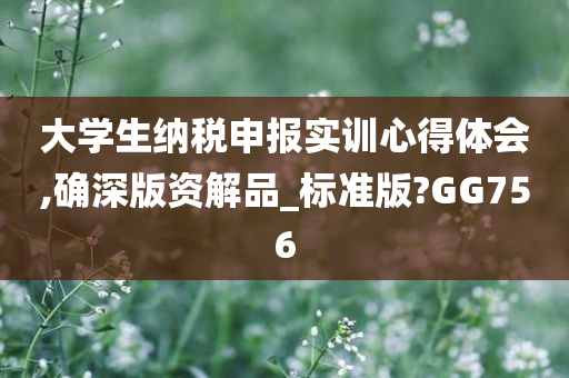 大学生纳税申报实训心得体会,确深版资解品_标准版?GG756