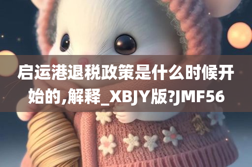 启运港退税政策是什么时候开始的,解释_XBJY版?JMF56