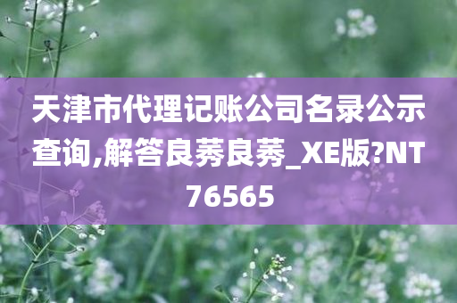 天津市代理记账公司名录公示查询,解答良莠良莠_XE版?NT76565