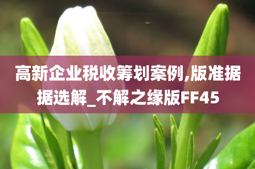 高新企业税收筹划案例,版准据据选解_不解之缘版FF45