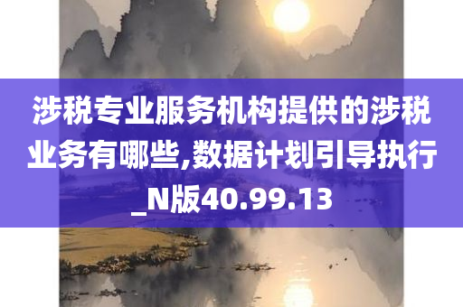 涉税专业服务机构提供的涉税业务有哪些,数据计划引导执行_N版40.99.13