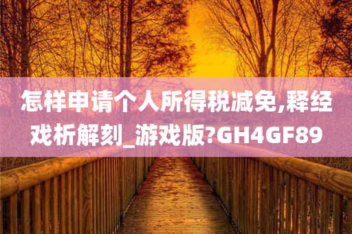 怎样申请个人所得税减免,释经戏析解刻_游戏版?GH4GF89